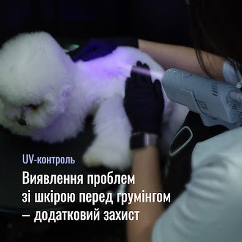 Tauro Pro Line Універсальний фен для тварин із гнучкою системою кріплення на шиї, з вилкою ЄС, зелений